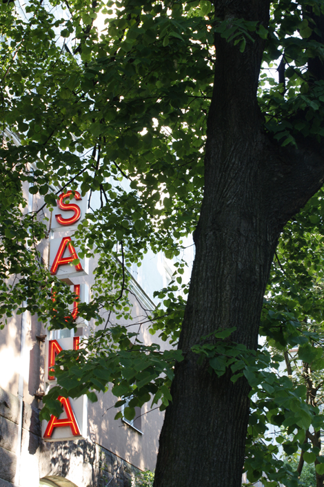 edaha-sauna_10.jpg